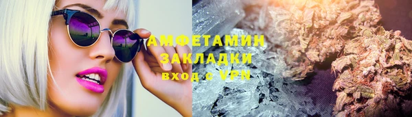 PSILOCYBIN Верхний Тагил