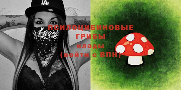 PSILOCYBIN Верхний Тагил