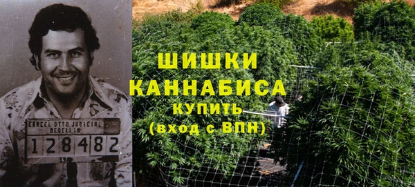PSILOCYBIN Верхний Тагил