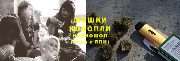 PSILOCYBIN Верхний Тагил