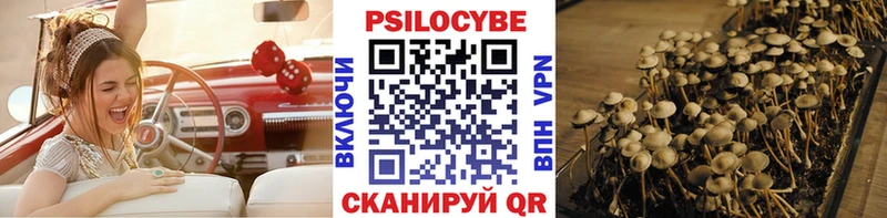 Псилоцибиновые грибы Magic Shrooms  дарнет шоп  Муром 